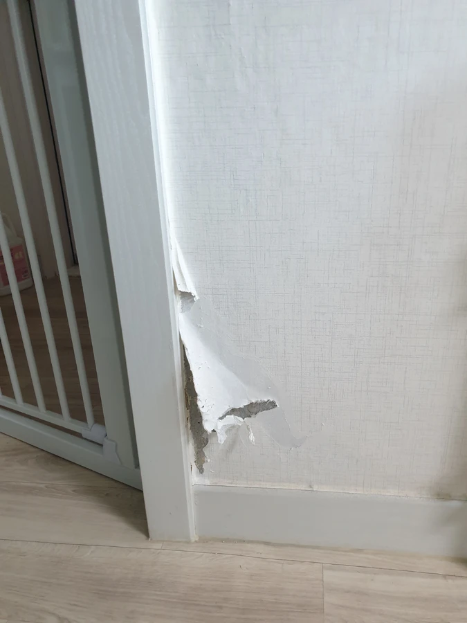 수원 벽지복원 방균 처리 후 시공 완료